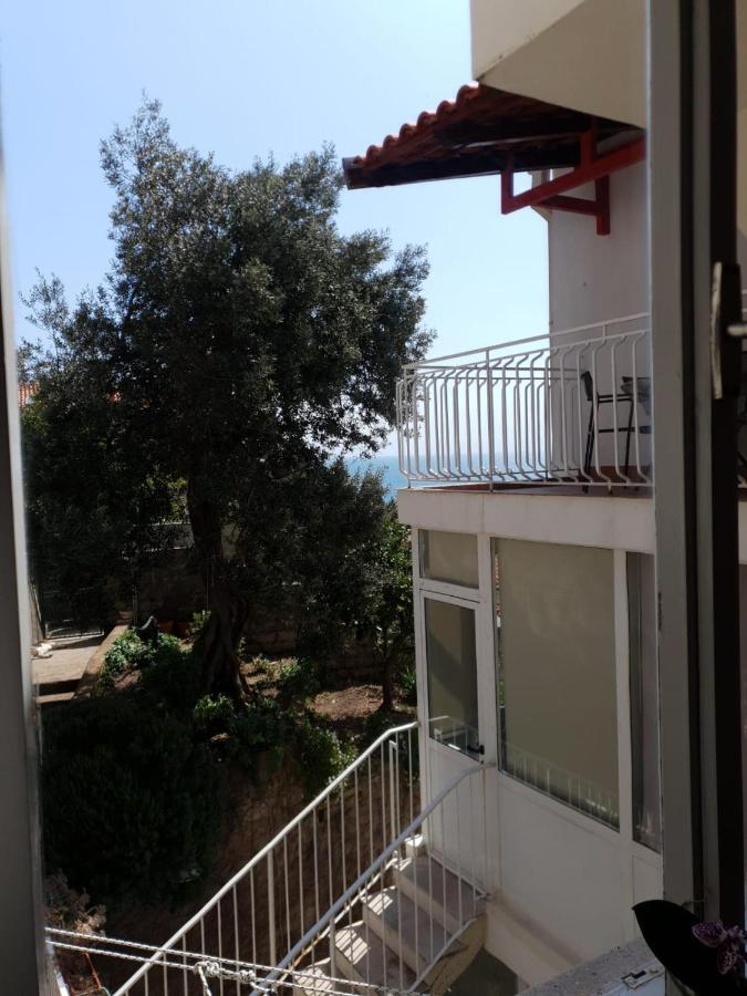 Apartments Dabar 두브로브니크 외부 사진